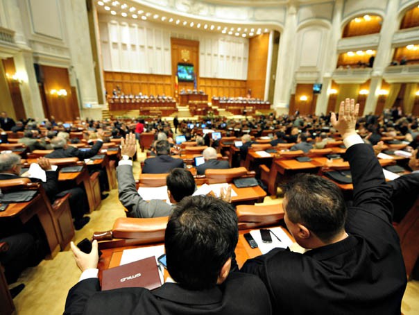 Cameră: Se interzice pentru doi ani înstrăinarea participaţiilor statului la companiile şi societăţile naţionale