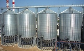 Exporturile de cereale au crescut cu 42,5% în primele trei luni din 2020 (INS)