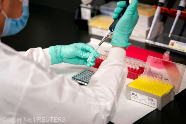Industria cărnii din Germania, obligată să testeze angajaţii pentru coronavirus de două ori pe săptămână