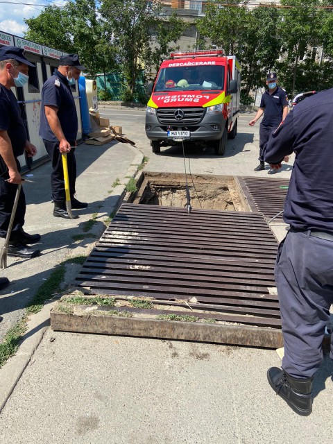 Pui de pisică, salvat dintr-o canalizare din Tulcea