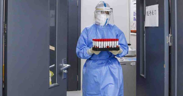 China: Alertă de ciumă bubonică după descoperirea unui caz suspect în nordul ţării