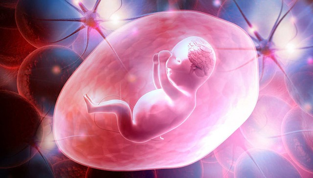 Antidepresivele încetinesc dezvoltarea neuronală a fătului