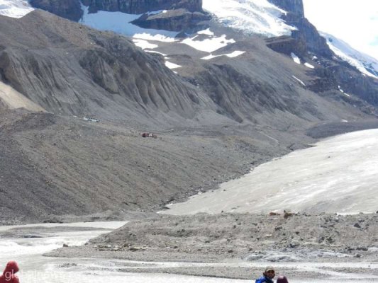 Canada: Trei morţi şi mai mulţi răniţi după răsturnarea unui autobuz de observare a gheţarilor plin cu turişti