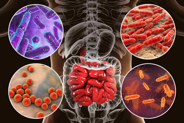 Studiu: Riscul de diabet, preconizat de o bacterie din intestine?
