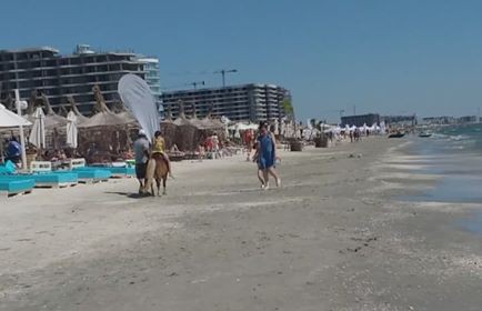 Au reapărut PONEII pe plajă, în staţiunea MAMAIA