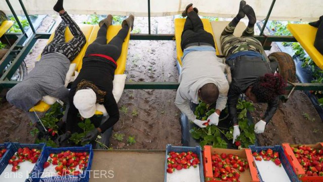 Spania va construi o tabără pentru sezonierii imigranţi, după criticile ONU