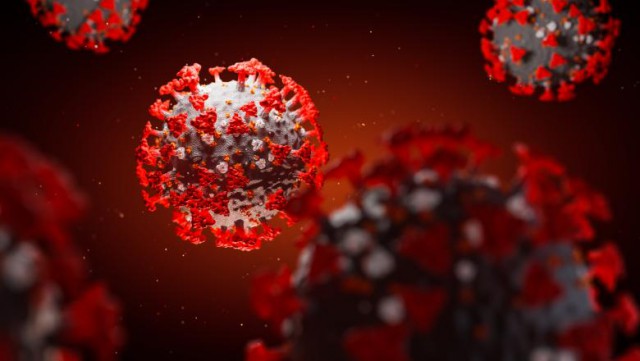 Avertisment OMS despre sezonalitatea coronavirusului: Acest virus iubeşte toate anotimpurile