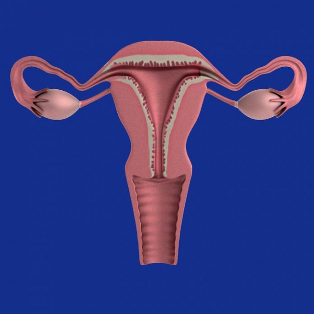 Chistul ovarian: ce simptome ar trebui să te alerteze?