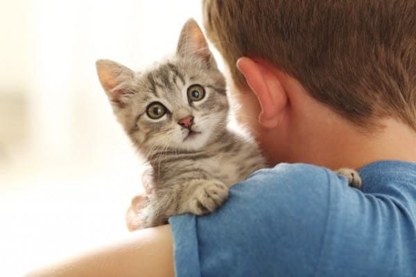 Prezența unei pisici poate să reducă riscul de astm la copiii mici