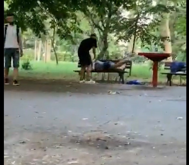 DROGAŢII şi-au făcut CUIB în Parcul de la Gară. VIDEO