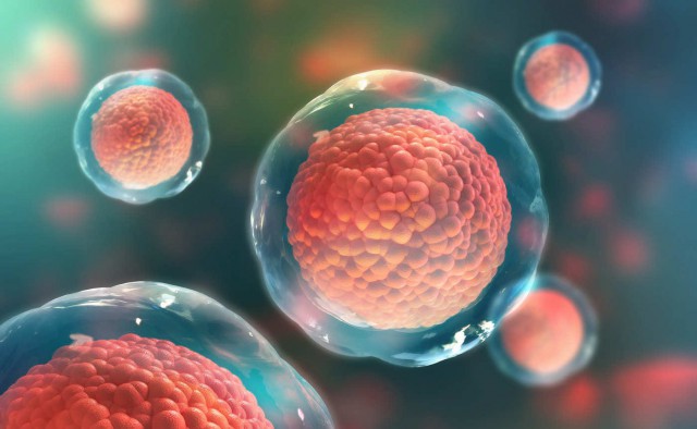 Stresul oxidativ: ce efecte are asupra organismului