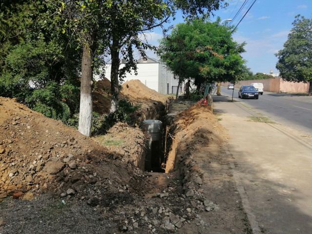 Locuitorii din zona BRICK, EXASPERAȚI de DISTRUGEREA SPAȚIILOR VERZI