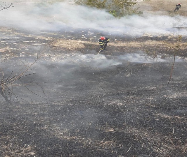 Incendiu de vegetație uscată în Cernavodă