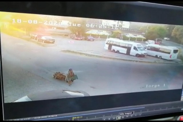 ȘOCANT! BĂRBAT MORT, CĂRAT cu CĂRUȚUL de BUTELII spre CIMITIR, la MURFATLAR! VIDEO