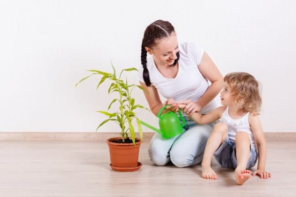 Plantele de apartament care pun copiii în pericol