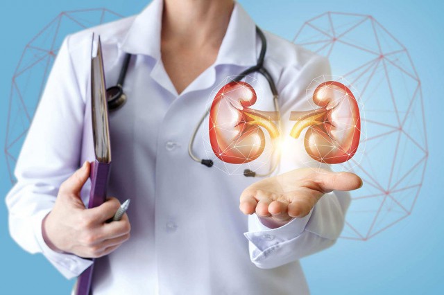 7 moduri de a vă menține rinichii sănătoși