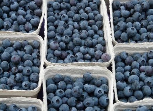 Afinele, comorile din pădure. Ce nutrienți și vitamine conțin