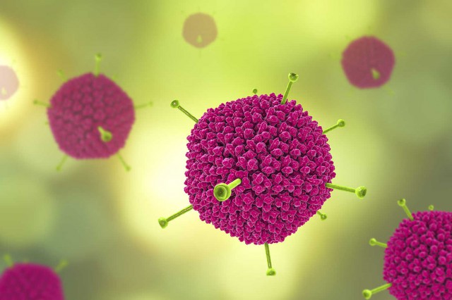 Adenovirusurile: ce sunt și cum poate fi prevenită infectarea