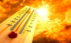 Directorul ANM: 2020 ar putea să fie cel mai călduros an din istorie