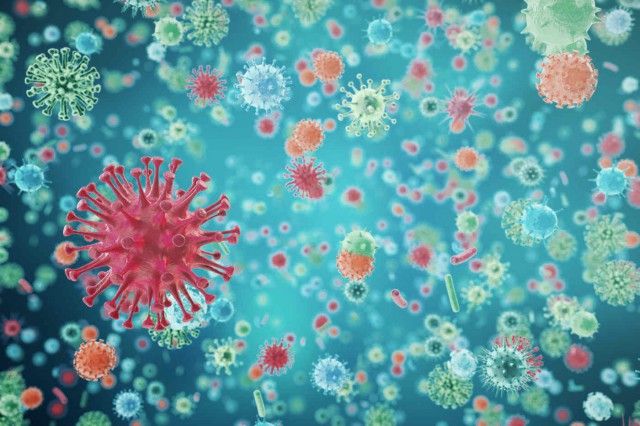 Diferența dintre infecțiile bacteriene și cele virale