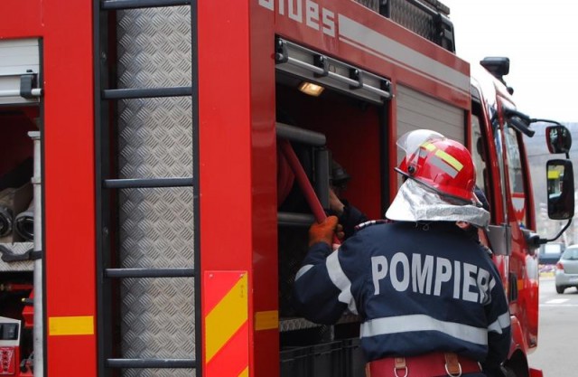 Autoritățile, solicitate pentru degajarea unui copac crăpat pe lungime, pe strada Egalității