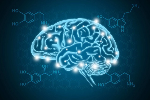 Serotonina: cum crești nivelul „hormonului fericirii”
