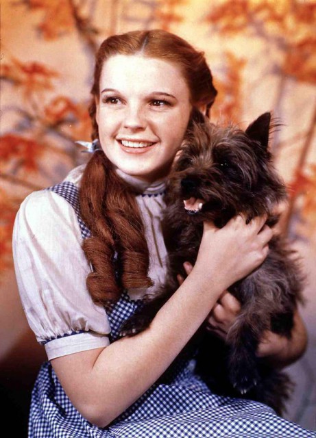 Judy Garland şi-a prins soţul în pat cu un bărbat. Ce alte drame au marcat viaţa actriţei