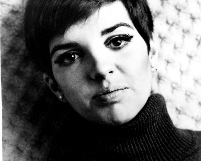 Liza Minnelli a supravieţuit celor trei sarcini pierdute şi depedenţei de alcool, dar era să moară din cauza unei muşcături de ţânţar