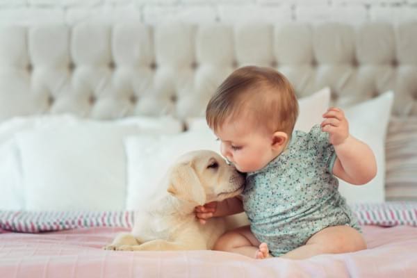 Bebelușul și animalele de companie: e bine sau nu să ai în casă un companion?