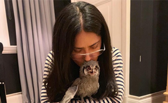 Salma Hayek trăieşte cu o bufniţă în casă
