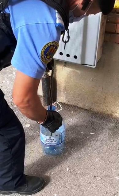 ALERTĂ! Şarpe prins de jardarmii constănţeni pe bulevardul Soveja