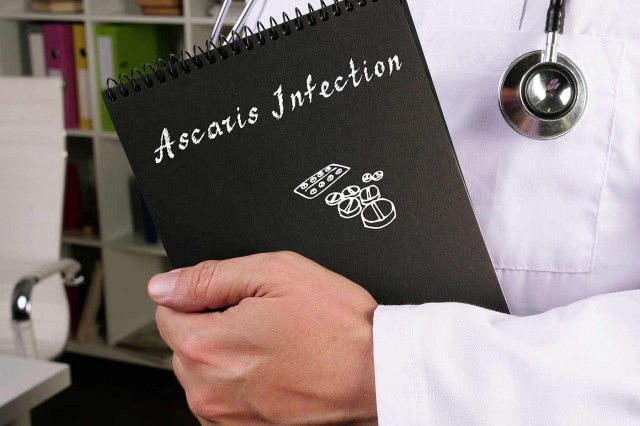 Ascaridioza (limbricii): cauze, simptome și tratament
