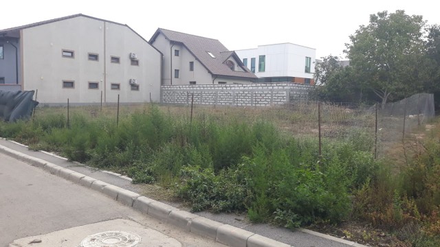 Mihai Carabaș construiește un nou IMOBIL în PALAZU MARE
