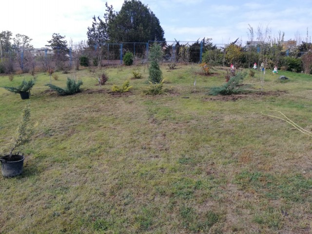RAEDPP plantează noi arbori în parcul Ţara Piticilor