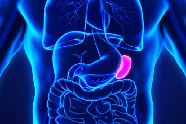 Splenomegalia sau mărirea splinei: cauze, simptome, tratament