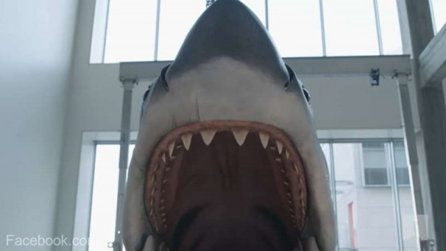 Rechinul din „Jaws“, pregătit să terorizeze vizitatorii viitorului muzeu al Oscarurilor