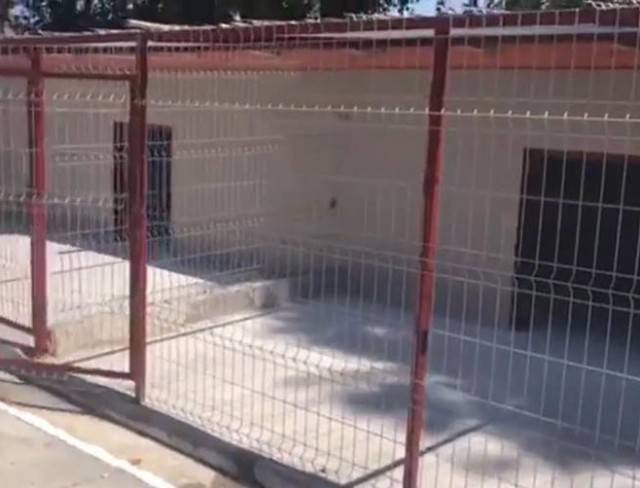 Adăpostul public pentru câinii fără stăpân din Constanța a intrat în reparații capitale