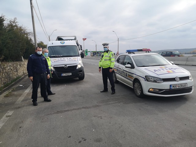 Zmei la volan în Mamaia și Năvodari!