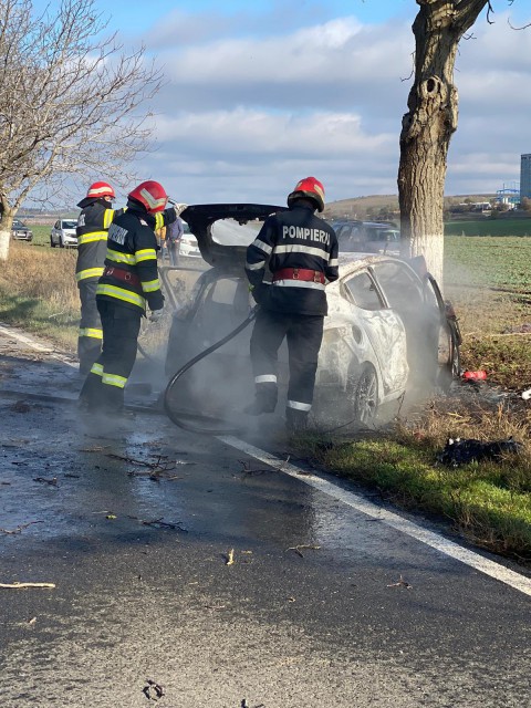 Un AUTOTURISM a ARS în AGIGEA