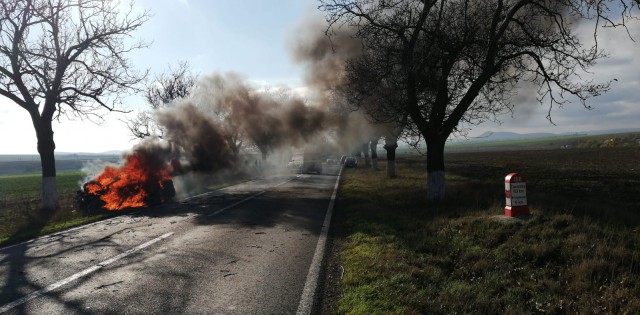 O șoferiță a INTRAT cu MAȘINA în COPAC și a LUAT FOC