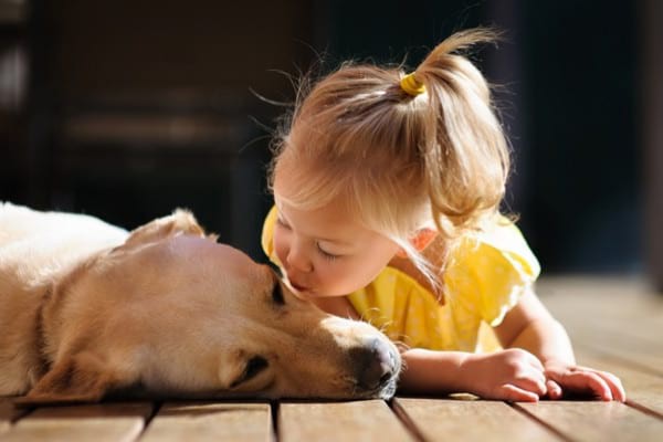 Rasele de câini recomandate pentru copii