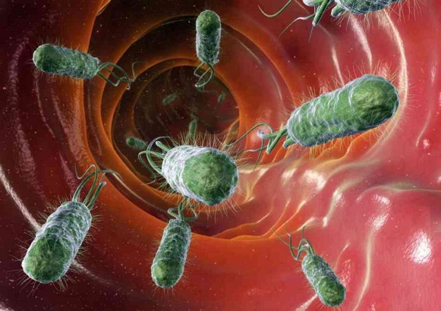 Recolonizarea bacteriană, o nouă metodă pentru reducerea drastică în greutate