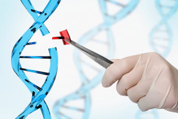 Factorii genetici și colesterolul: ce trebuie să știi pentru a preveni complicațiile