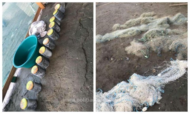 Peşte, icre negre și plase de pescuit, confiscate de polițiștii de frontieră