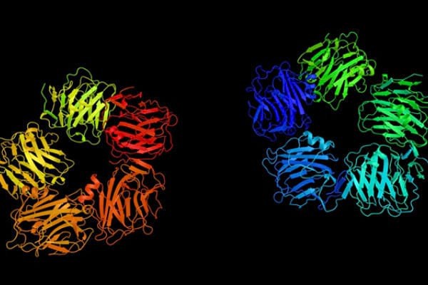 Proteina C reactivă: ce este și ce indică valorile ei