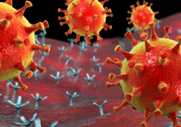 Studiu. Reinfectarea cu SARS-CoV-2 este puţin probabilă timp de cel puţin şase luni