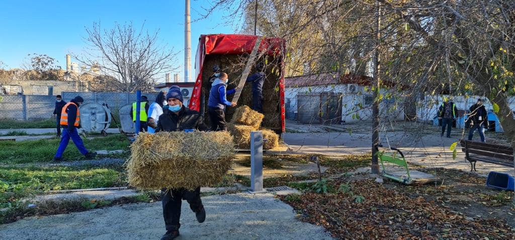 Primăria Constanţa cumpără servicii VETERINARE Primăria Constanţa cumpără servicii VETERINARE