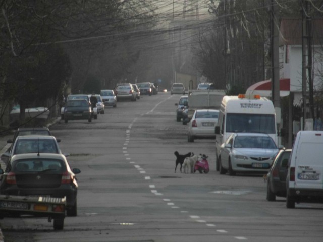 Costineşti, staţiunea TINERETULUI sau a MAIDANEZILOR?!