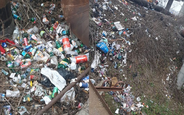 FOCAR de INFECŢIE sub PODUL de la CORA BRĂTIANU