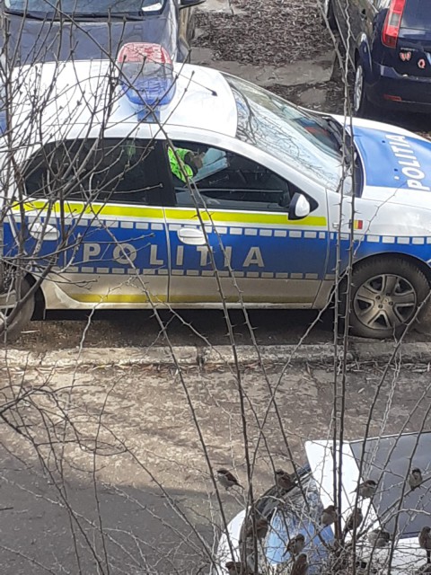 Peste 50 de sancțiuni aplicate de polițiștii tulceni, pentru nerespectarea măsurilor impuse de autorități